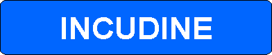 Incudine